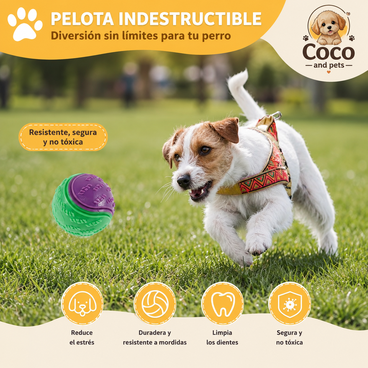 Pelota Interactiva para Perros – Juguete Resistente para Masticar, Jugar y Entrenar nano