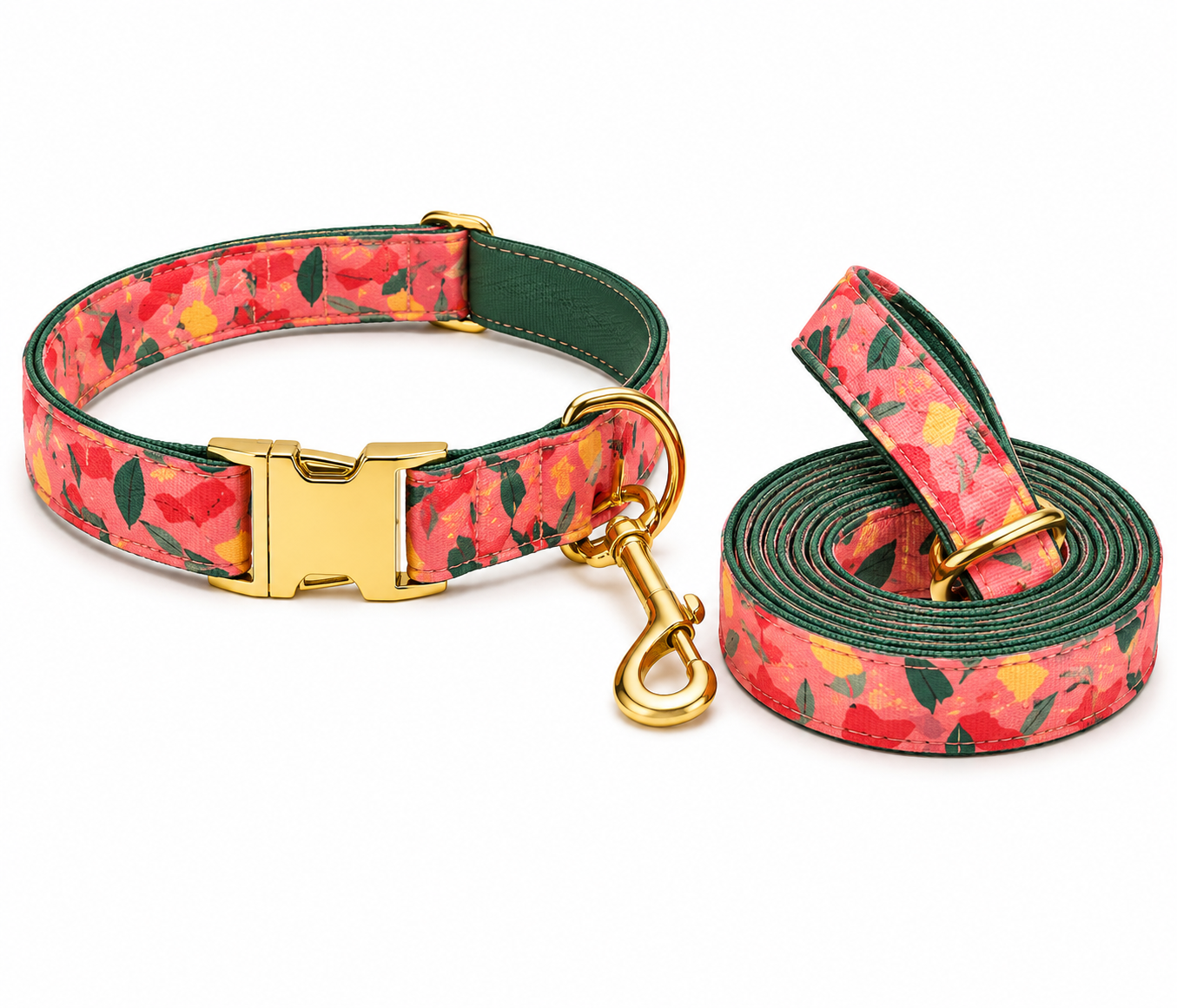 COLLAR Y CORREA COCO