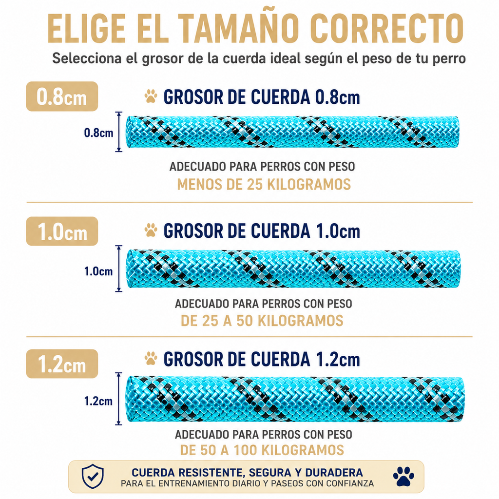 CORREA REFLECTANTE PREMIUM PARA PERROS | RESISTENCIA, CONTROL Y SEGURIDAD EN CADA PASEO