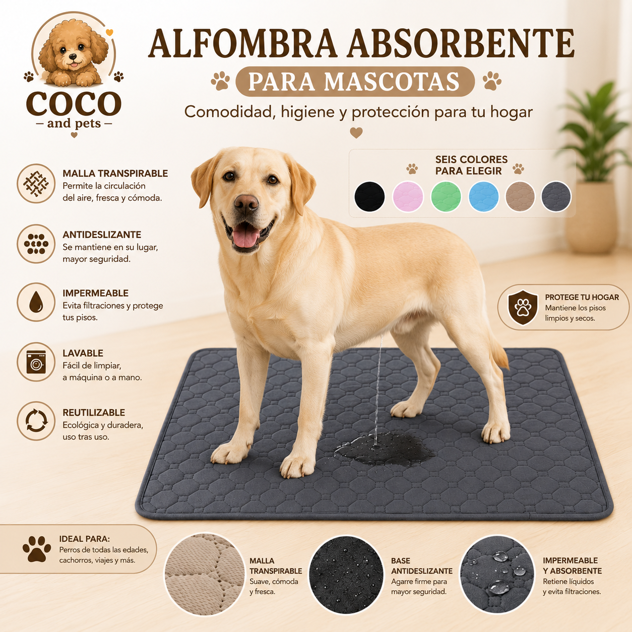 La Alfombra que Mantiene tu Hogar Limpio y Seco