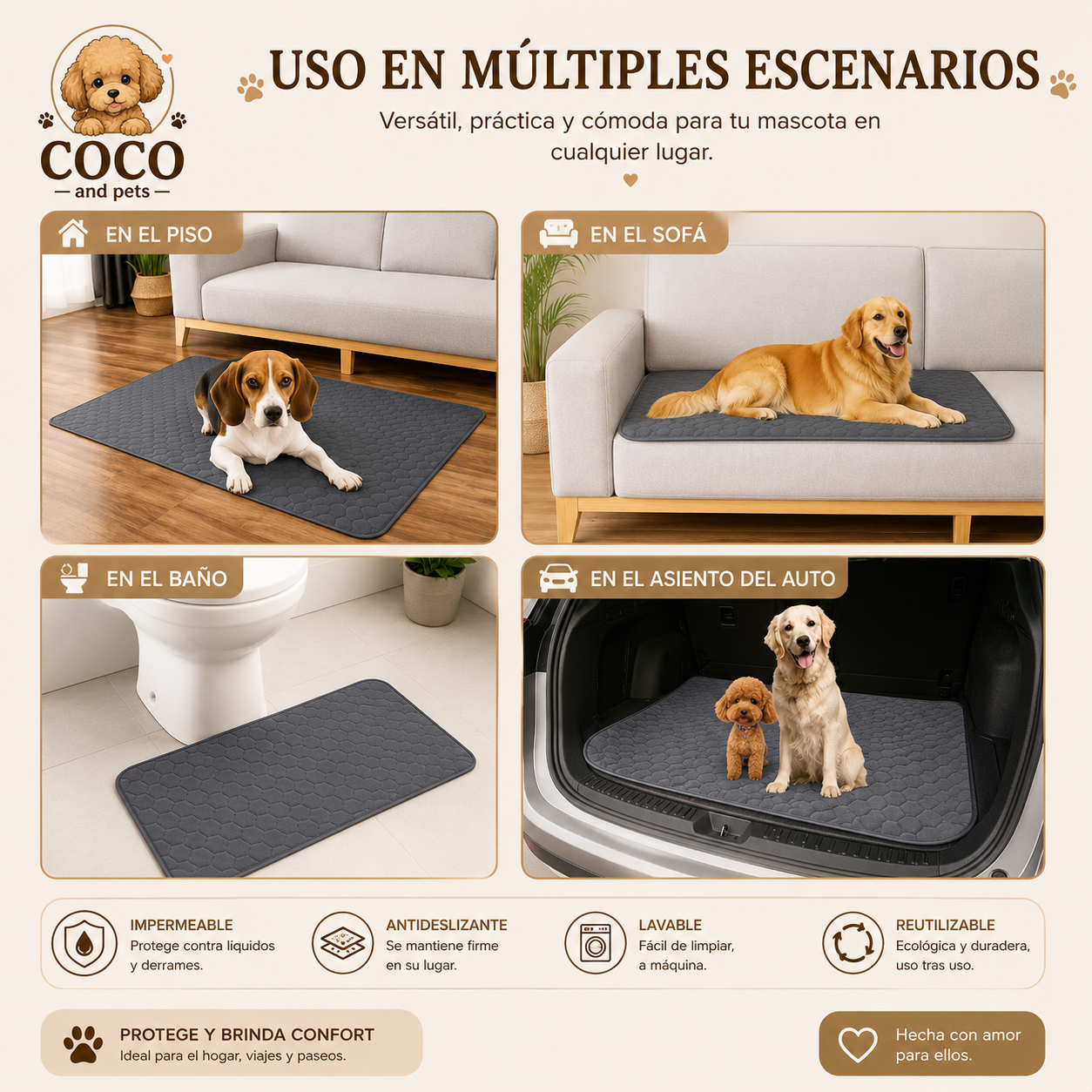 La Alfombra que Mantiene tu Hogar Limpio y Seco