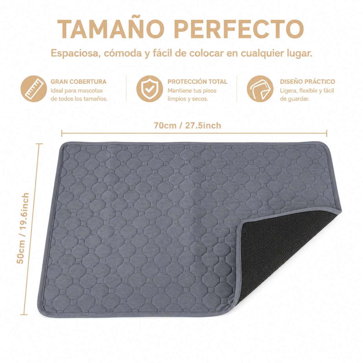 La Alfombra que Mantiene tu Hogar Limpio y Seco