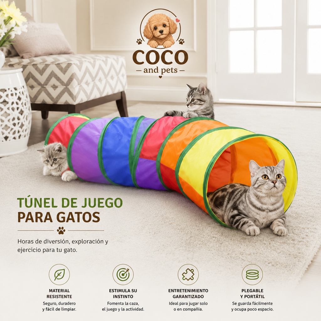 El Túnel Favorito de tu Gato