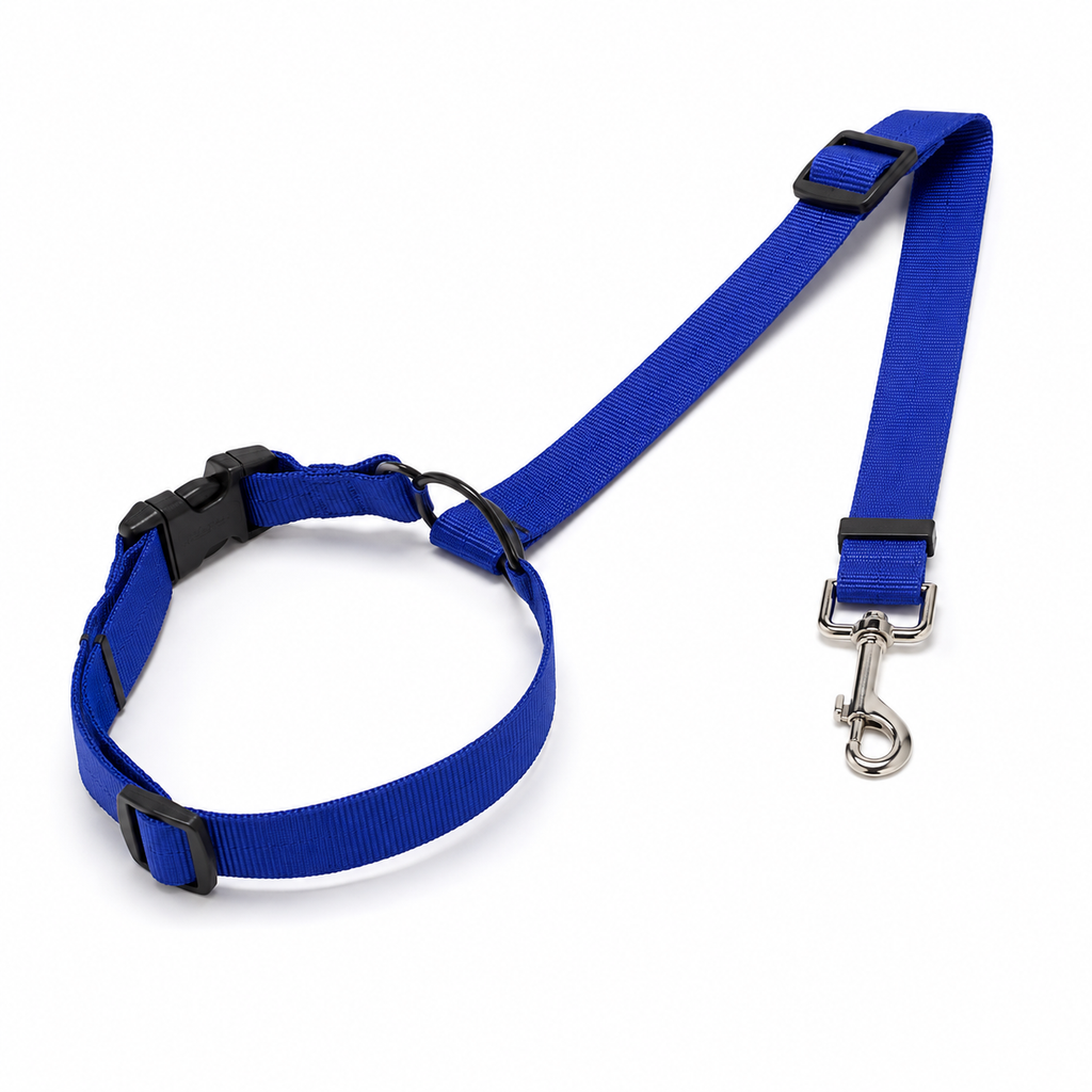 Cinturón de Seguridad Ajustable EVO