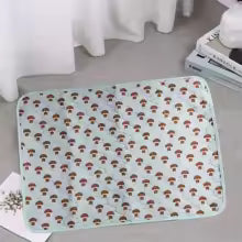 La Alfombra que Mantiene tu Hogar Limpio y Seco