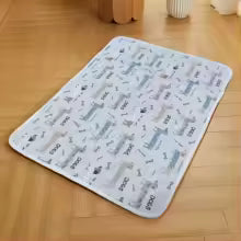 La Alfombra que Mantiene tu Hogar Limpio y Seco