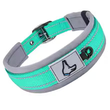 COLLAR ACOLCHADO BUBA