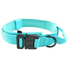 COLLAR TÁCTICO TOM