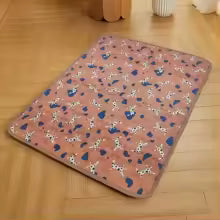 La Alfombra que Mantiene tu Hogar Limpio y Seco