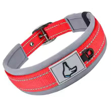 COLLAR ACOLCHADO BUBA