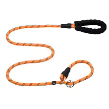 CORREA REFLECTANTE PREMIUM PARA PERROS | RESISTENCIA, CONTROL Y SEGURIDAD EN CADA PASEO