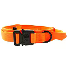 COLLAR TÁCTICO TOM