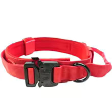 COLLAR TÁCTICO TOM